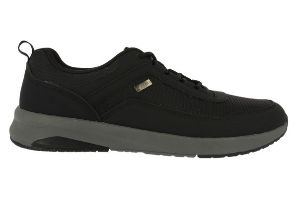 34608 Negro